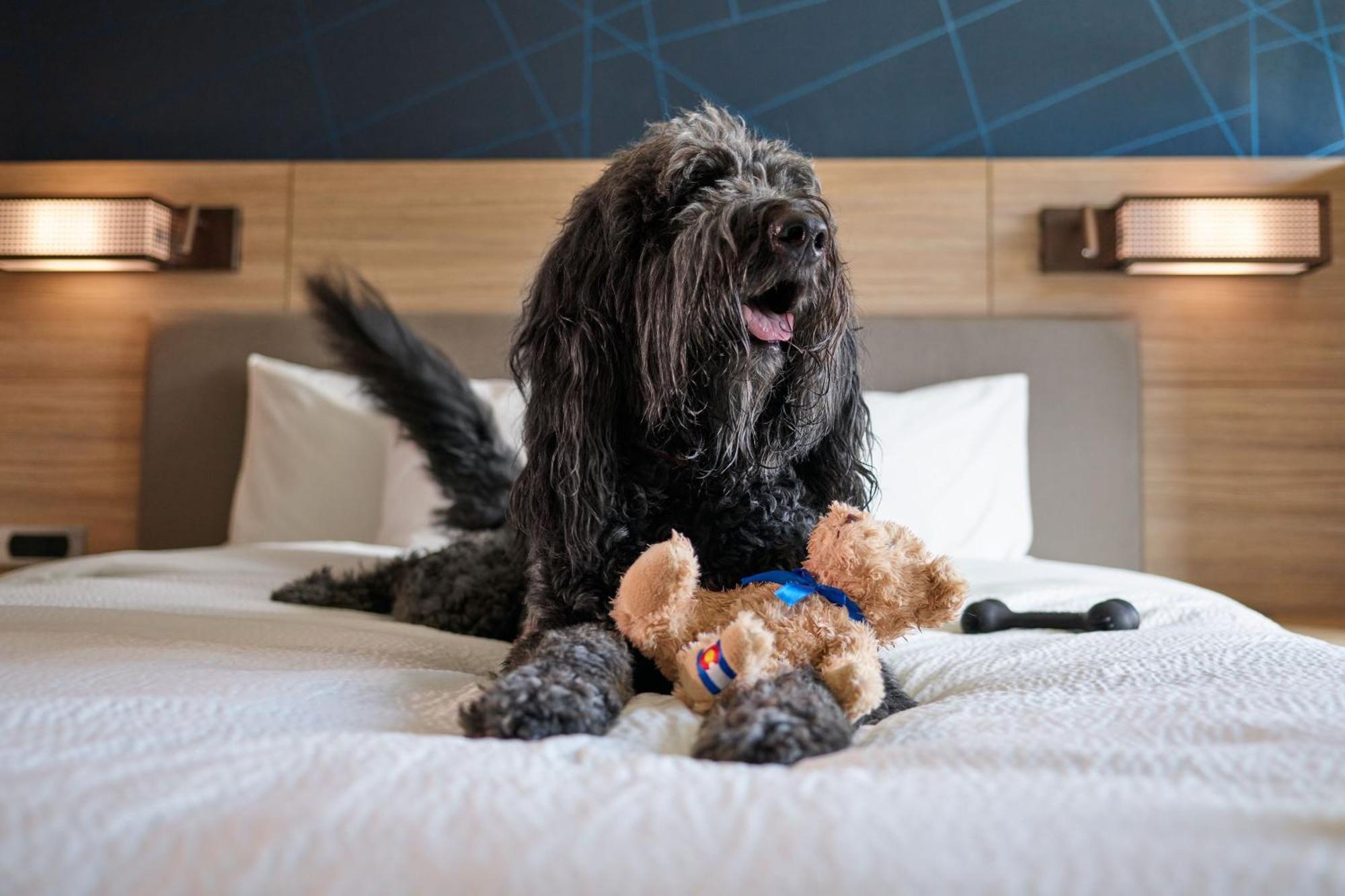 Springhill Suites By Marriott Avon Vail Valley Екстер'єр фото
